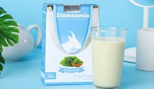 Rekomendasi 4 Merk Susu Kambing Etawa Terbaik Atasi Gangguan Pernafasan