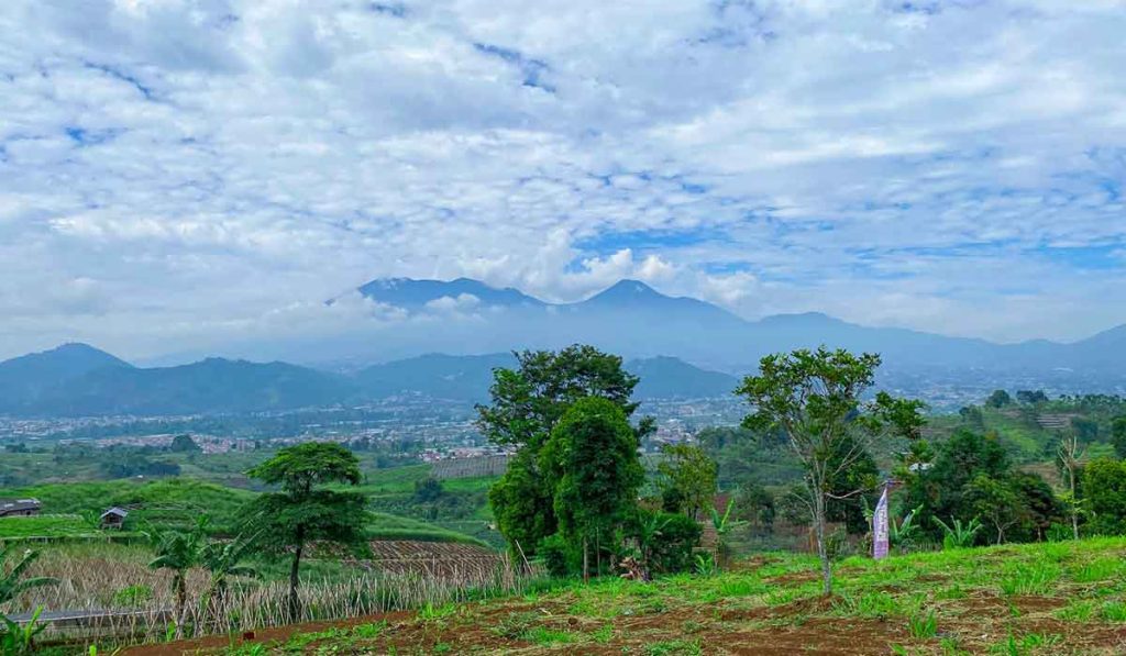Granada Sky Park Cipanas, Perpaduan Keindahan Alam dan Potensi Bisnis Wisata